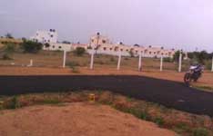 Mico Property Advisor
