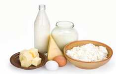 Milk FED Punjab Project
