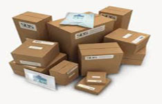 Shore To Shore Logistics India Ltd
